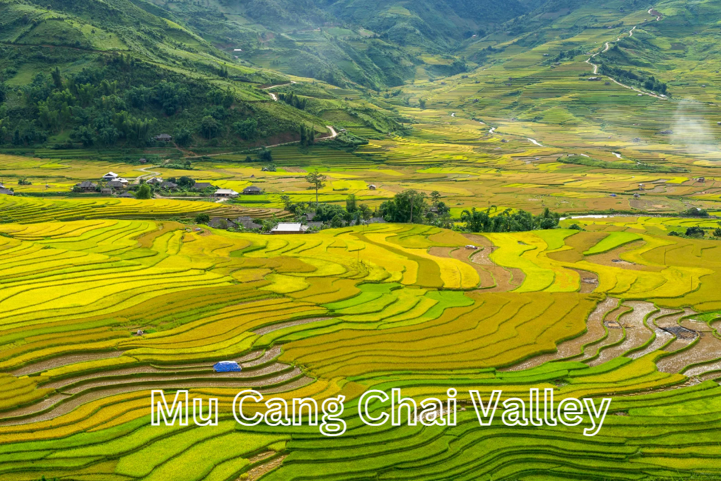 Rice Terraces in Northwest Vietnam